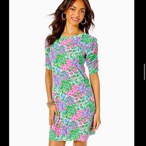Lilly Pulitzer Belden T Shirt dress